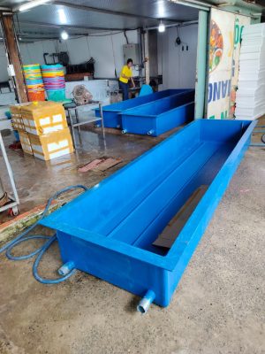 Nơi sản xuất bồn Composite nuôi cá giá tốt