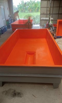 Bể Composite thiết kế chuyên dụng cho việc nuôi lươn