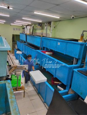 Thùng giữ nhiệt dùng trữ hải sản bằng Composite